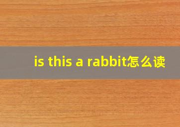 is this a rabbit怎么读